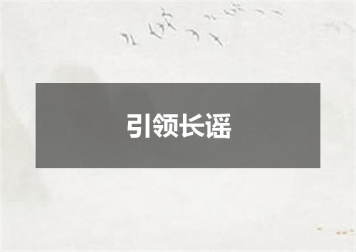 引领长谣
