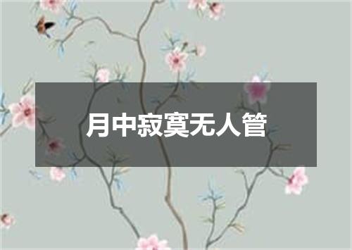 月中寂寞无人管