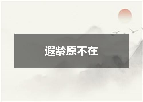 遐龄原不在