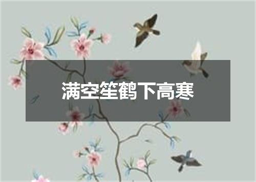 满空笙鹤下高寒