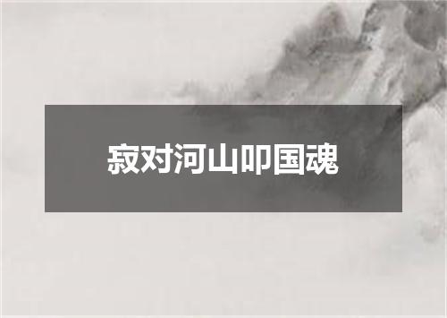 寂对河山叩国魂