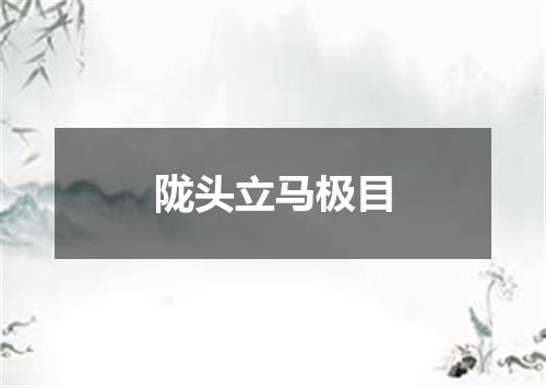 陇头立马极目