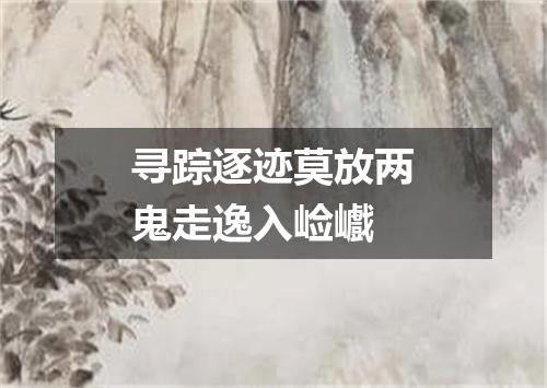 寻踪逐迹莫放两鬼走逸入崄巇