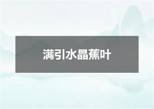 满引水晶蕉叶