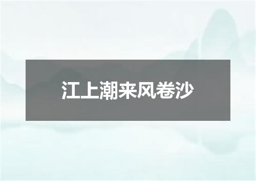 江上潮来风卷沙