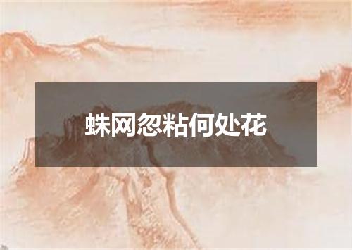 蛛网忽粘何处花