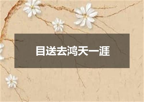 目送去鸿天一涯