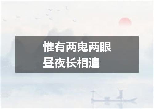 惟有两鬼两眼昼夜长相追