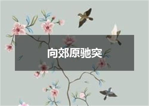 向郊原驰突