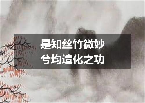 是知丝竹微妙兮均造化之功