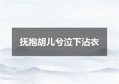 抚抱胡儿兮泣下沾衣