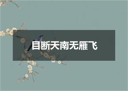 目断天南无雁飞