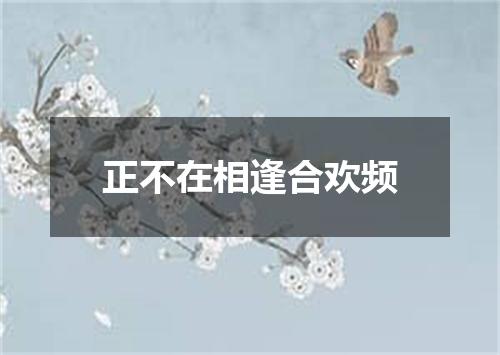 正不在相逢合欢频