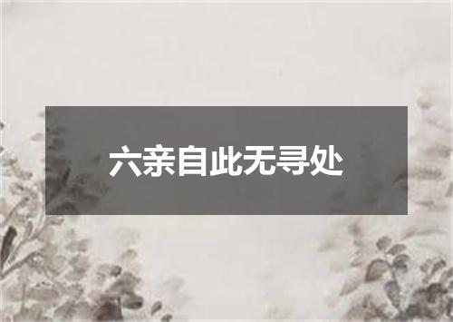 六亲自此无寻处