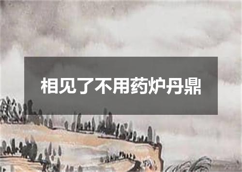 相见了不用药炉丹鼎