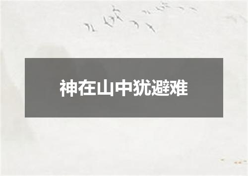 神在山中犹避难