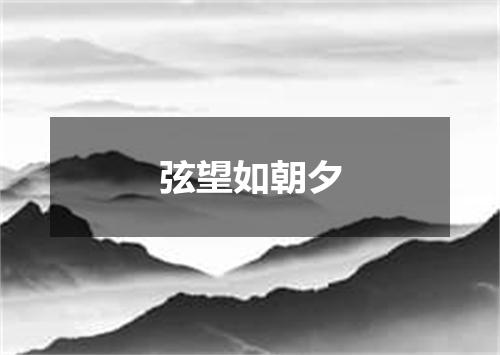 弦望如朝夕