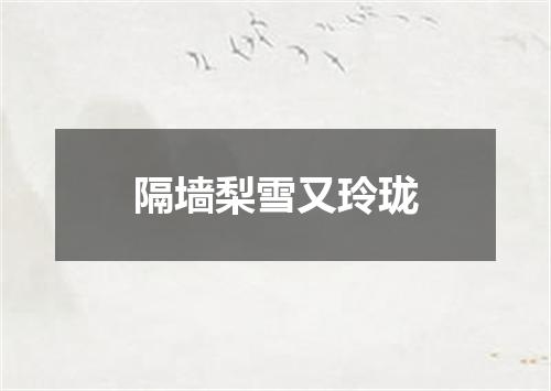 隔墙梨雪又玲珑