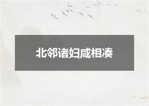 北邻诸妇咸相凑