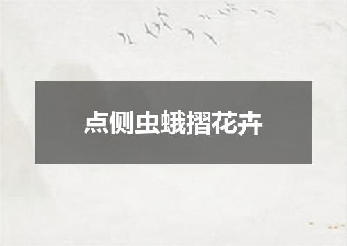 点侧虫蛾摺花卉