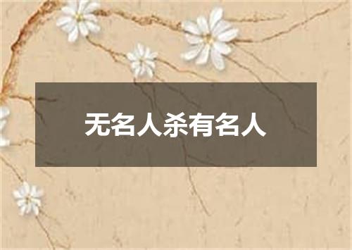 无名人杀有名人