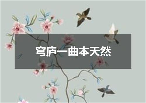 穹庐一曲本天然