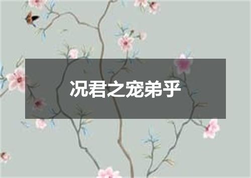 况君之宠弟乎