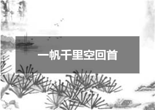 一帆千里空回首