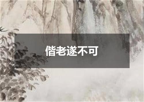 偕老遂不可