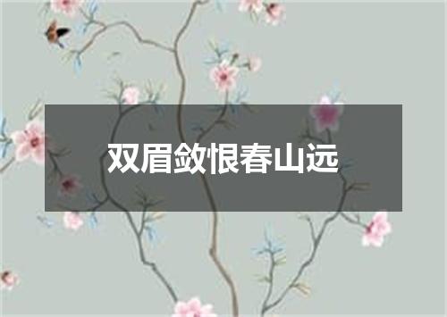 双眉敛恨春山远