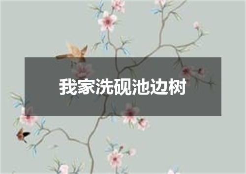 我家洗砚池边树