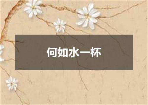 何如水一杯