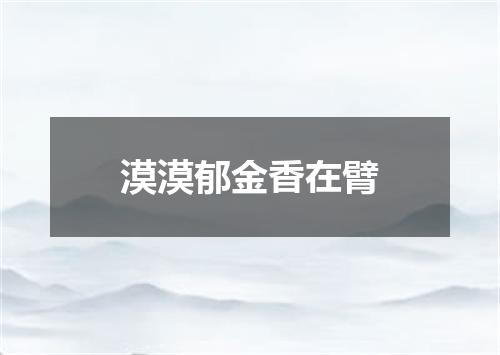 漠漠郁金香在臂