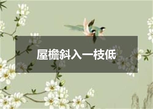 屋檐斜入一枝低