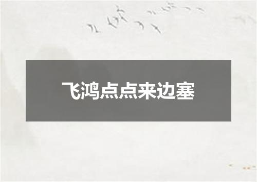 飞鸿点点来边塞