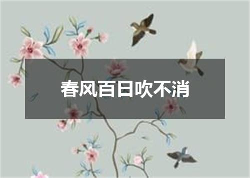春风百日吹不消