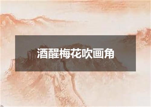 酒醒梅花吹画角