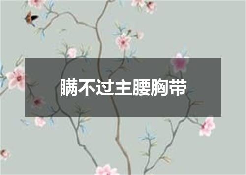 瞒不过主腰胸带