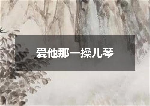爱他那一操儿琴