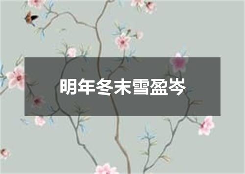 明年冬末雪盈岑