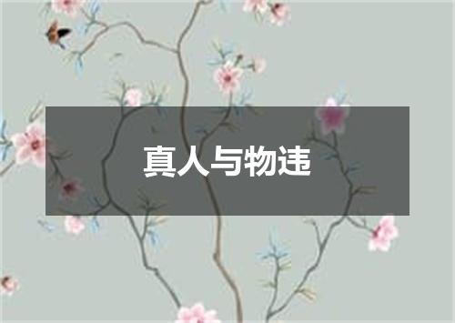 真人与物违
