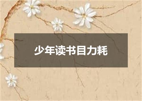 少年读书目力耗