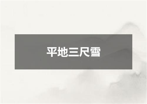 平地三尺雪