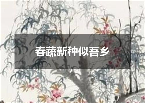 春蔬新种似吾乡