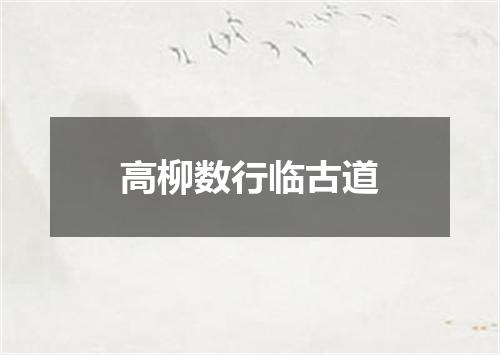 高柳数行临古道