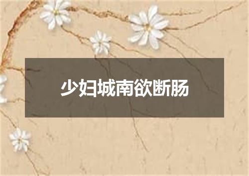少妇城南欲断肠