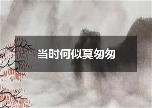当时何似莫匆匆