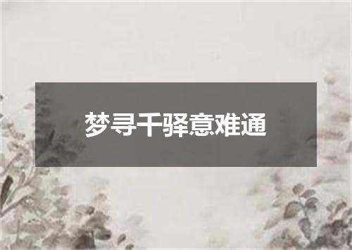 梦寻千驿意难通