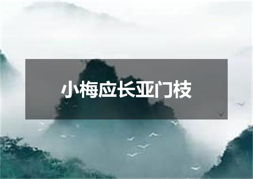 小梅应长亚门枝