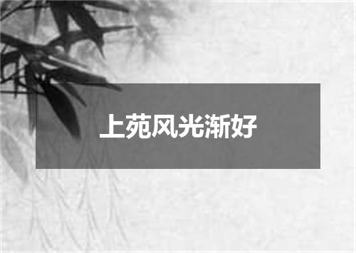 上苑风光渐好